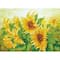 Diamond Dotz® Hazy Daze Sunflowers Diamond Painting Artwork Kit